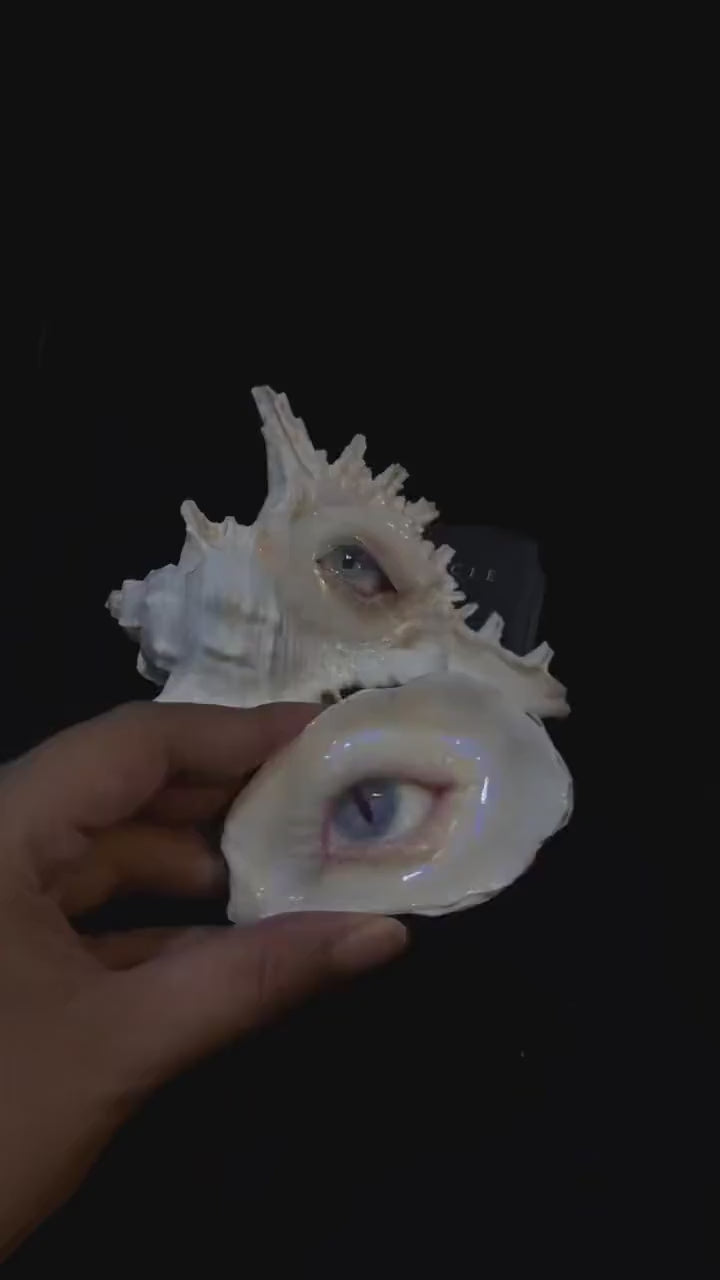 NYX CAT Oyster Shell Choker & Brooch, Nyra Collection Gothic Statement Jewelry, Ready to Ship Wearable Art, Artist-Signed